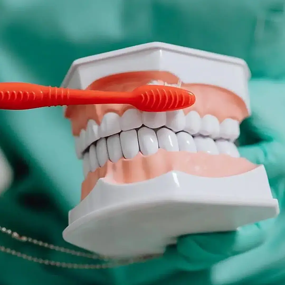 Dental Cleaning